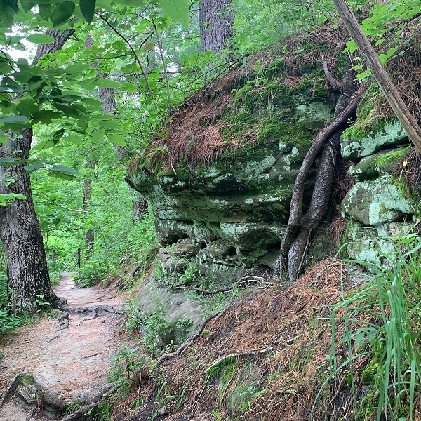 The trail leading to the top of Starved Rock. 