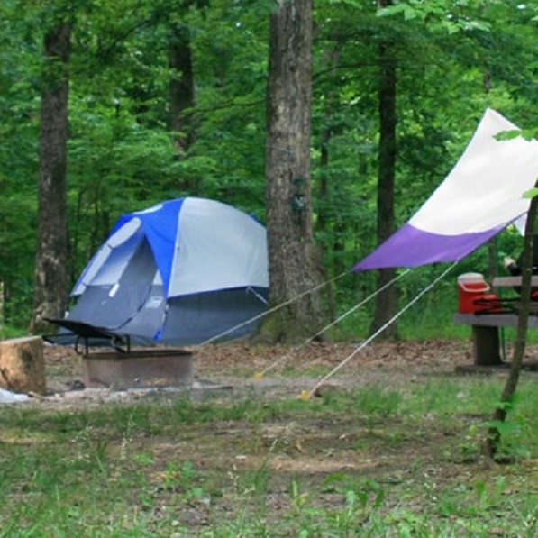 Each campsite has a fire ring and picnic table. 