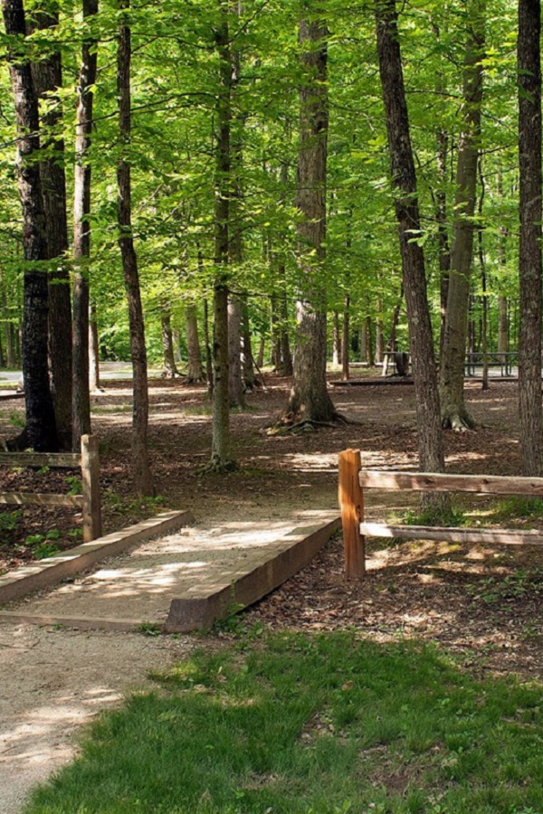 Mammoth Cave Campground - Display Image