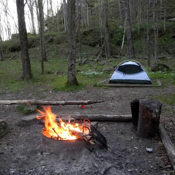 Mammoth Cave Campground - Webpage Image
