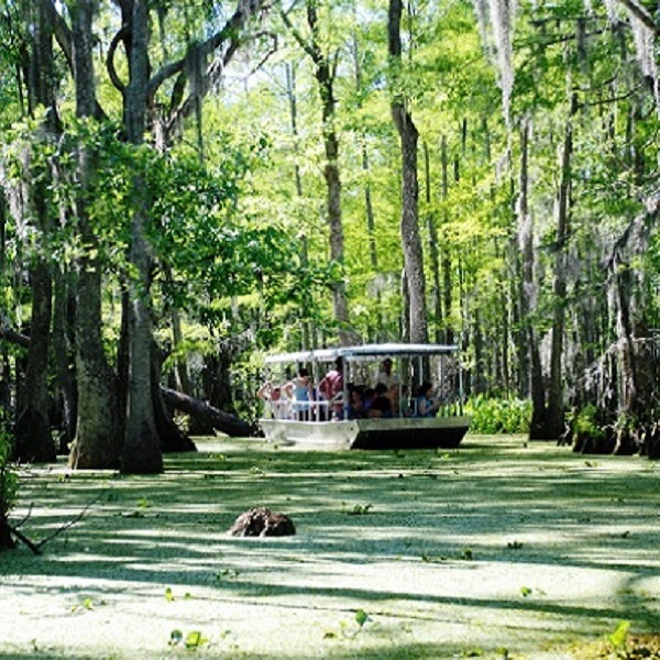 WMA Pearl River Campgrounds  - Webpage Image