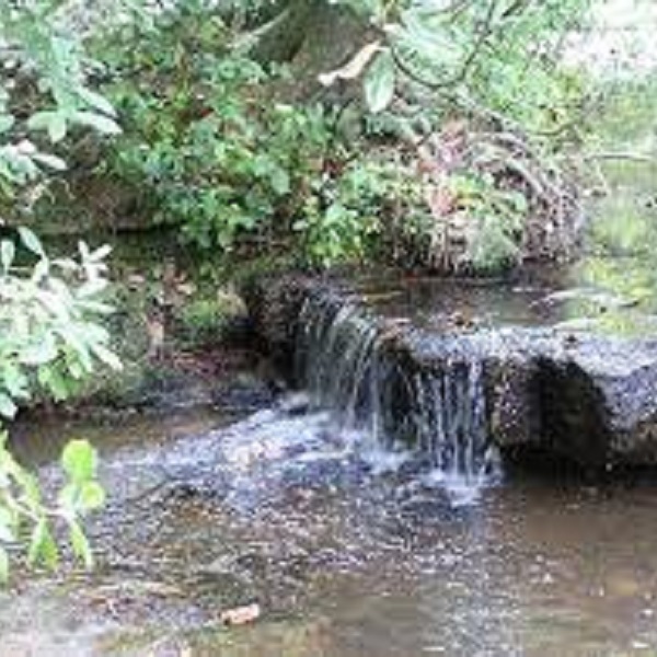 The largest of the drops that make up the cascade. 
