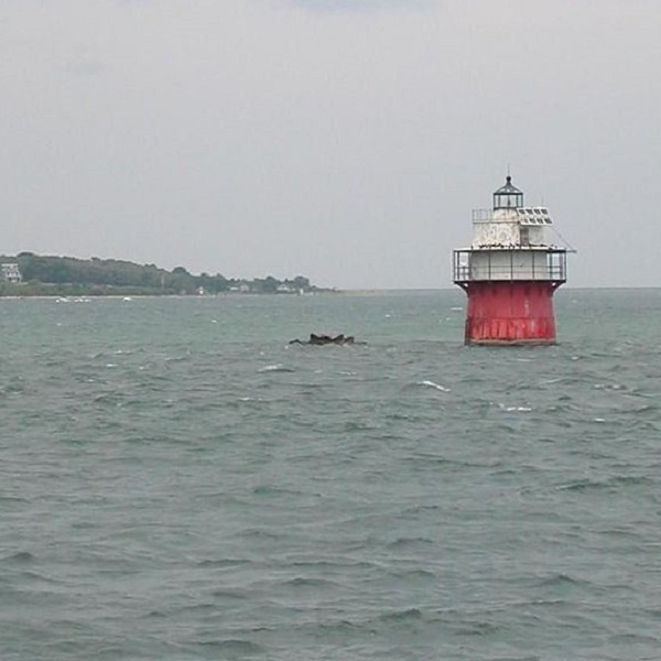 Nearby “Bug Light”, a nickname for the percolator-look of the Duxbury Pier Light, designates the entrance to Plymouth Harbor.