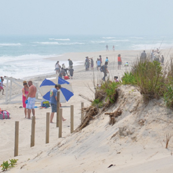 Assateague State Park offers both camping and day use right on the beach. 