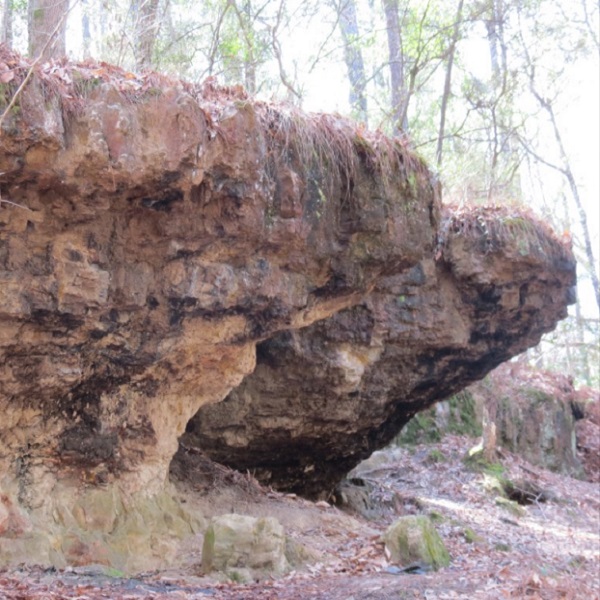 Suggested image for Wolf Rock Cave 