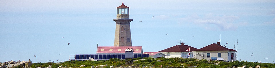 Machias Seal Island Lighthouse - Header Image