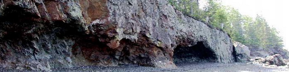 The Ovens  - Header Image