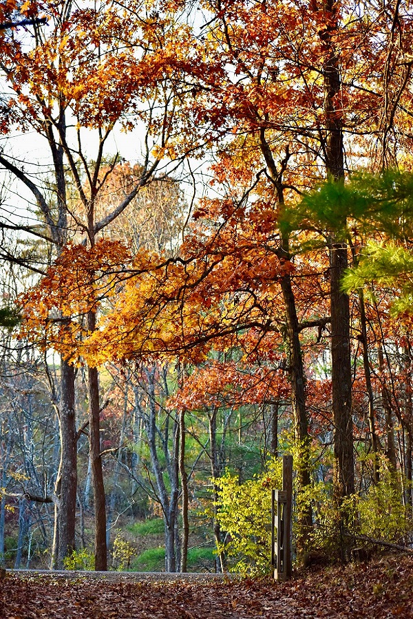 Town of Hancock MD    - Display Image