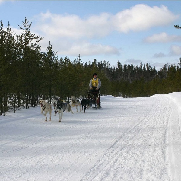 Winter activities include dog-sledding guides in the Upper Peninsula. 