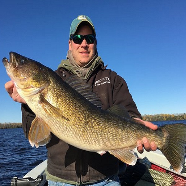 Spectacular. red-eyed, smallmouth bass going off the water like skyrockets, crappie pin wheeling in bursts of silver, or Northern pike bursting like green Roman candles...the Ely area is blessed with access to more than 5,000 lakes, streams and rivers in northeastern Minnesota. 
