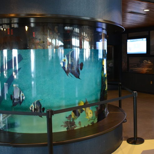 A 3,000-gallon aquarium displaying life on the coastal shelf is located on nearby Jennette’s Pier in Nags Head.