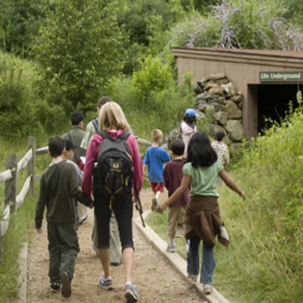 The center offers a variety of educational opportunities for visitors, including naturalist-led standards-based programs for schools.