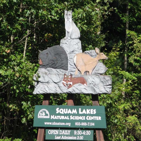 Suggested image for Squam Lakes Natural Science Center