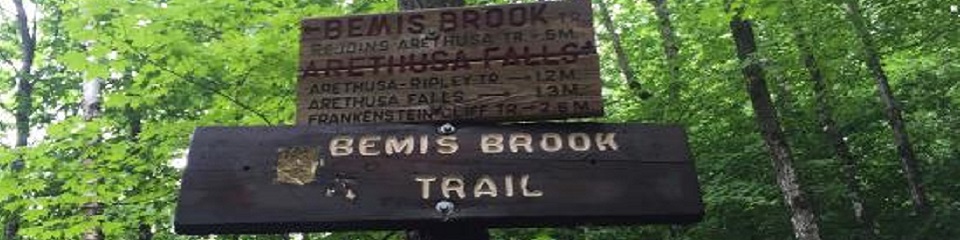 Bemis Brook Falls Crawford Notch State Park - Header Image