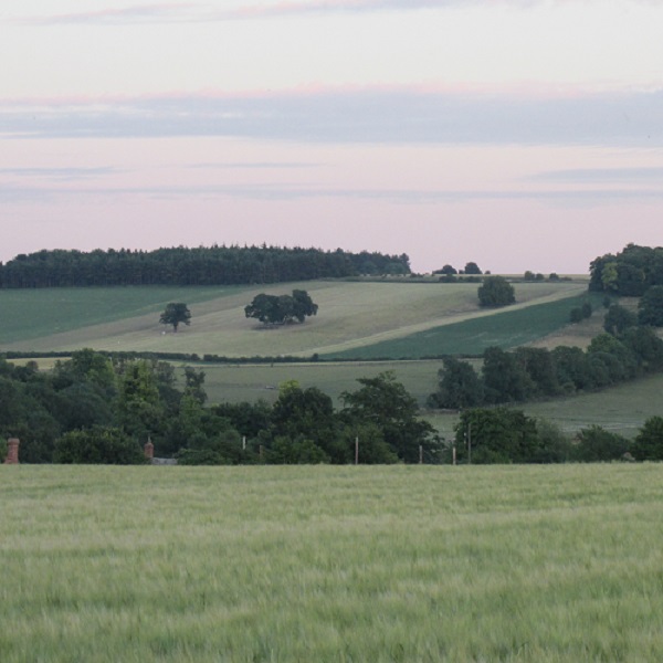The views of the surrounding prairie from White Horse Hill Overlook are superb. The Overlook is reached by ascending a staircase of about 100 steps from the parking area below.