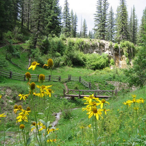 Bluff Springs National Recreation Area - Webpage Image