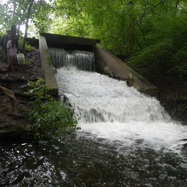 New York state has over 7,800 lakes, ponds and reservoirs, of which 5,000 are created by man-made dams. This is a dam located at the north end of Franklin's Pond near the hatchery.