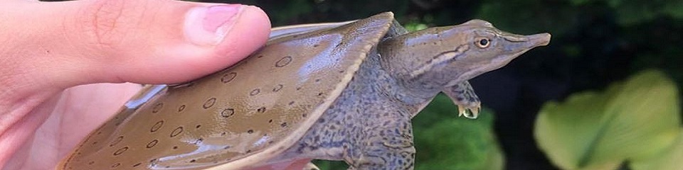 Cold Spring Harbor Fish Hatchery and Aquarium - Header Image