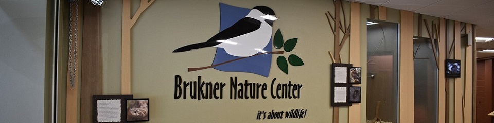 Brukner Nature Center  - Header Image