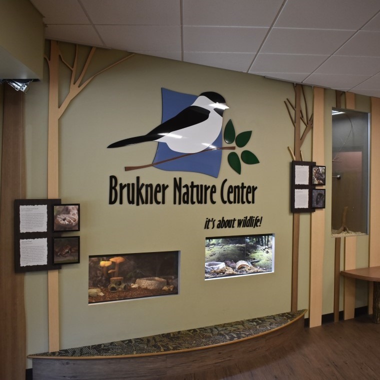 Suggested destination image for Brukner Nature Center 
