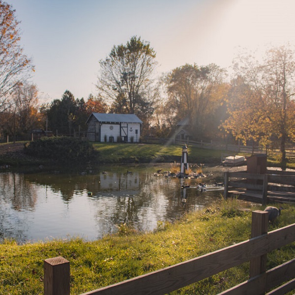 The Fort Rickey Discovery Zoo provides a healthy home for creatures from all over the world.