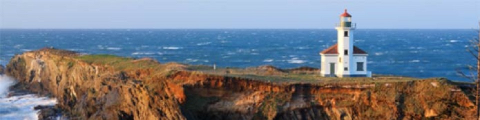 Cape Arago Lighthouse  - Header Image