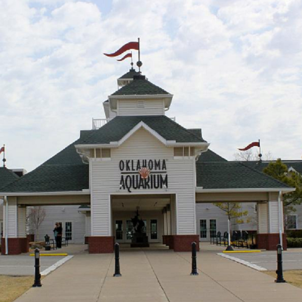 The Oklahoma Aquarium is located in Jenks, a suburb of Tulsa, and is the largest aquarium in Oklahoma at 72,000 square feet. The aquarium exhibits several species of sea turtles and an octopus exhibit.
