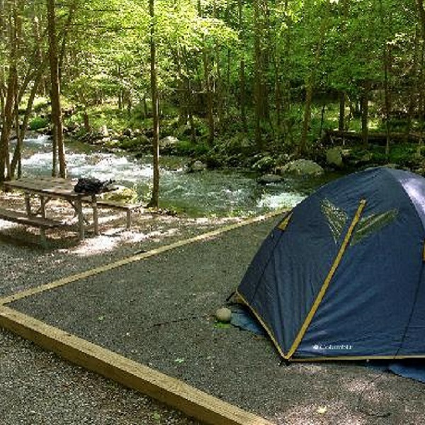 Tent sites include level pad and picnic table. Some are on the shore of the Little River, which runs through the campground. 