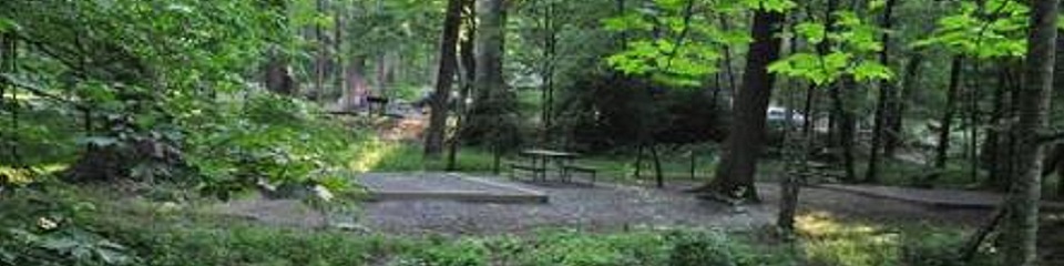 Elkmont Campground-Great Smoky Mountains National Park - Header Image