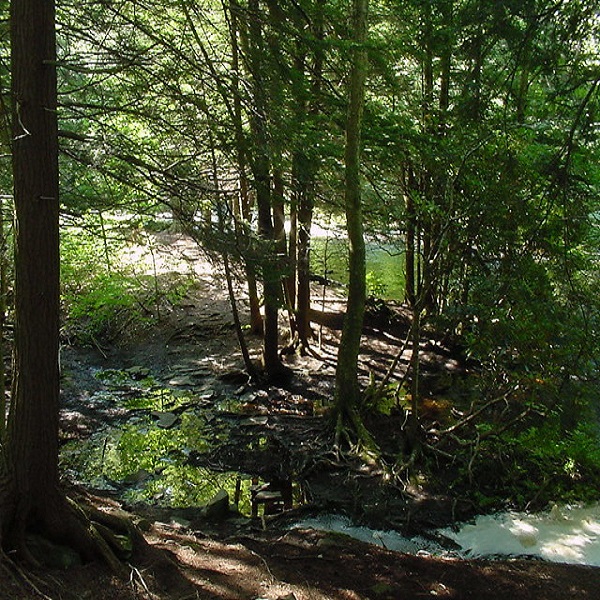 The Promised Land State Park offers miles of hiking and equestrian trails throughout its 3,000 acres. 