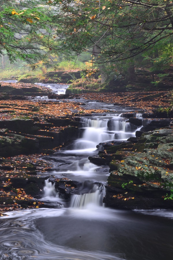 Promised Land State Park - Display Image