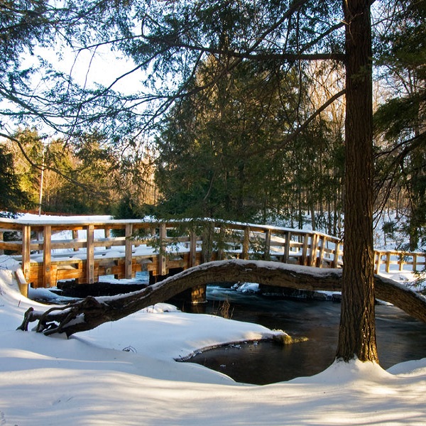 Promised Land State Park - Webpage Image