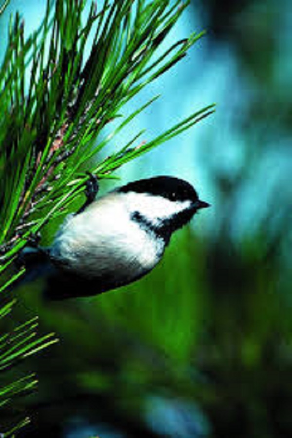 Audubon Nature Center and Aquarium - Display Image