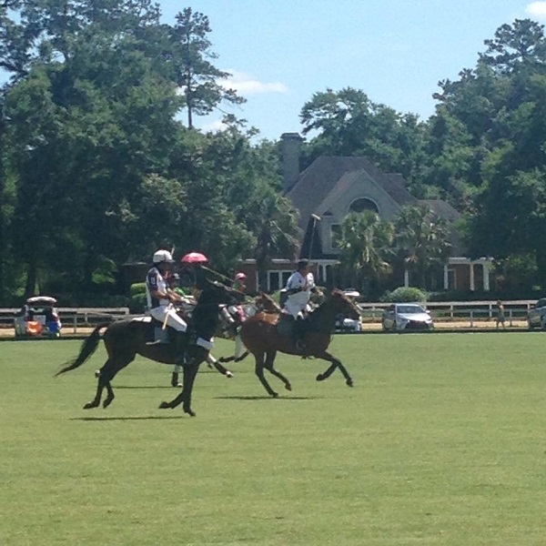 The Winter Colony was started by Thomas Hitchcock, one of the leading American polo players during the latter part of the 19th century. 