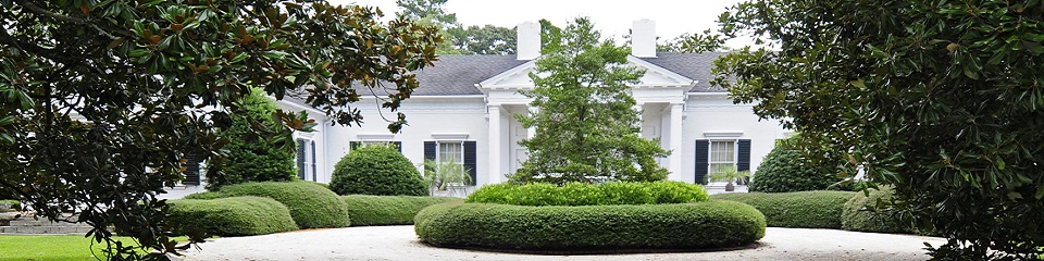 Whitehall  - Header Image