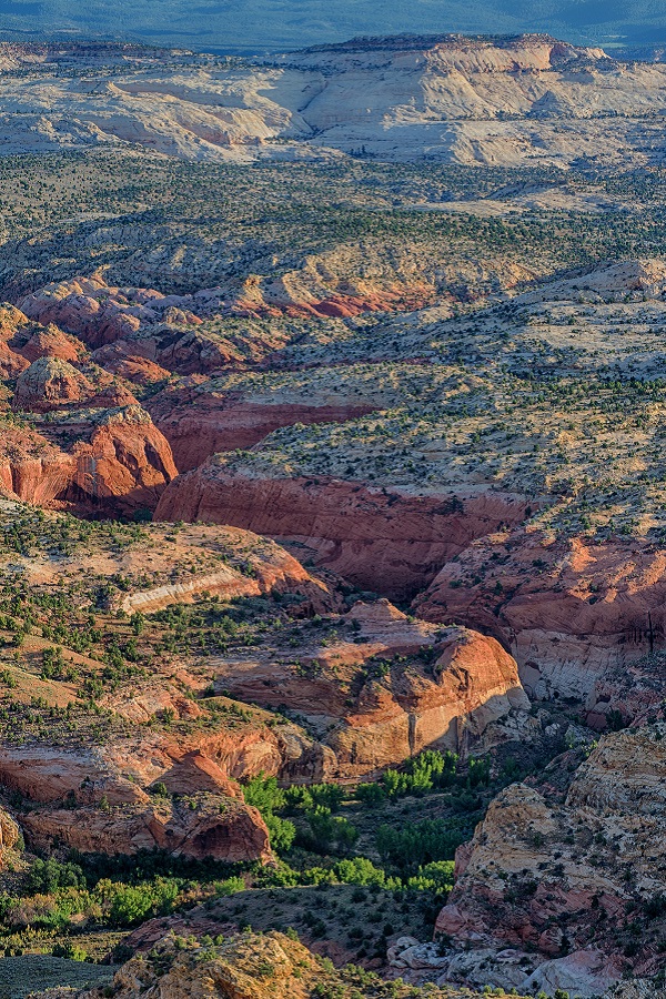 Escalante and Boulder Chamber of Commerce   - Display Image