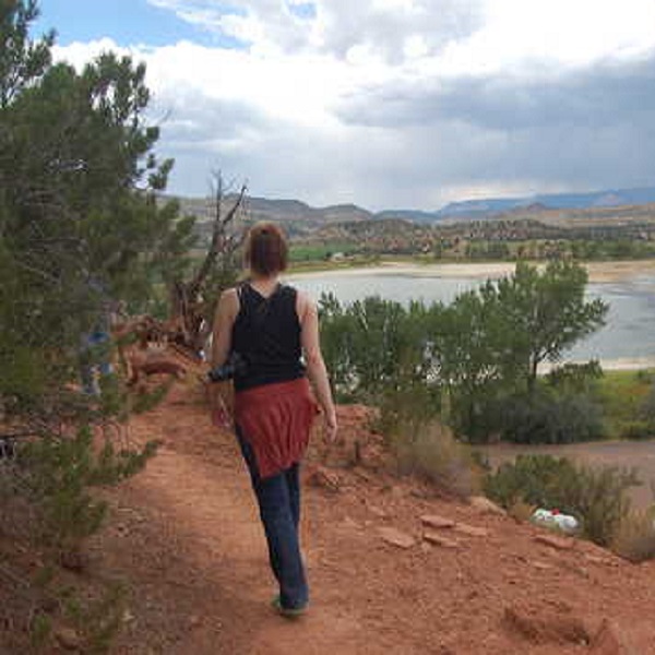 The one-mile Petrified Forest Trail loops up a mesa through petrified logs and lava flows.