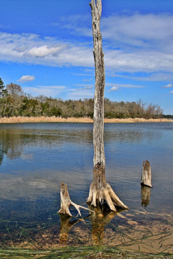 Visit Bastrop - Display Image