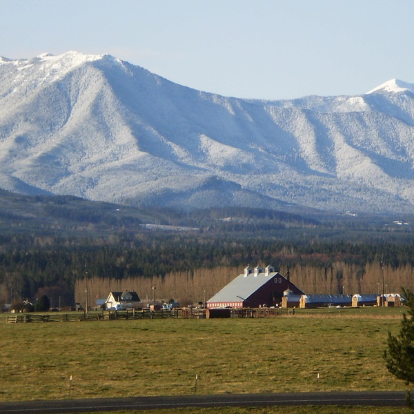 Sequim sits at the base of the Olympic Mountains, and is in its rain shadow, providing more days of sunshine than elsewhere in western Washington. 