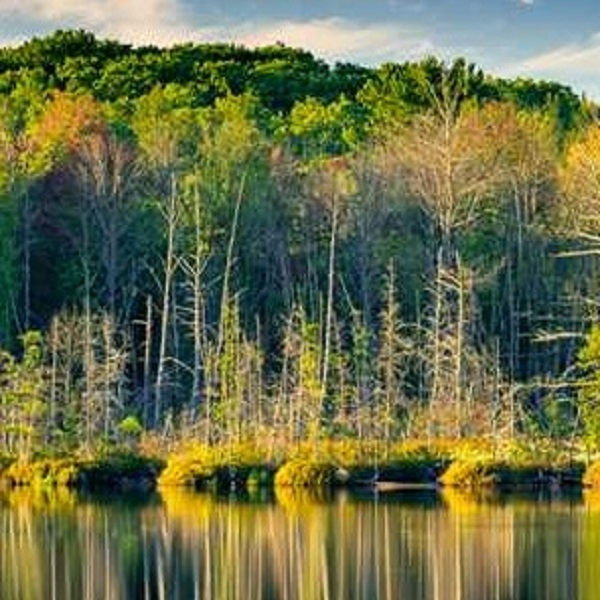 Lake Holcombe offers plenty of outdoor recreational opportunities.