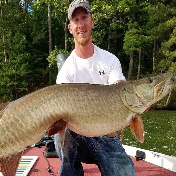 Lake fish include Musky, Bass, Lake Sturgeon and Northern Pike.