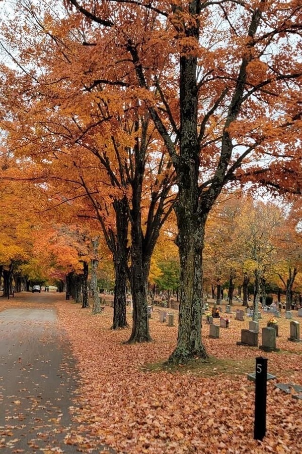Harrison Convention & Visitors Bureau    - Display Image