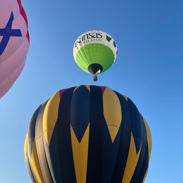 Skilled pilots compete in various challenges, demonstrating their mastery of balloon navigation and piloting techniques. 
