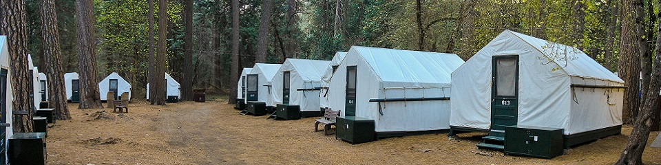 Yosemite National Park     - Header Image