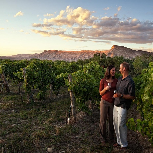 Take a scenic drive through Palisade, a valley bursting with orchards and vineyards. Sample some of its wines at any of its many wineries. 