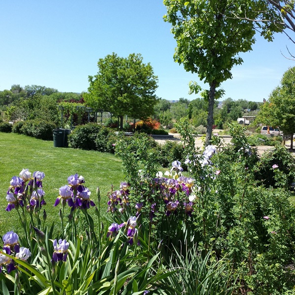 Spanning 23 acres, the gardens boast over 2,500 plant species, showcasing the diverse flora of the Rocky Mountains, arid Southwest, and beyond. 