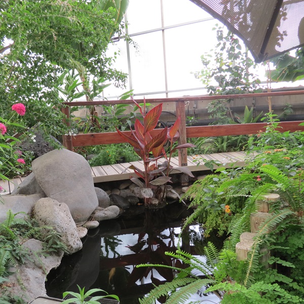 Wander through the meticulously landscaped themed gardens, such as the Water Conservation Garden or the Rocky Mountain Alpine Garden. 