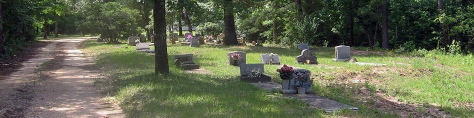 Isaac Nettles Gravesite    - Header Image