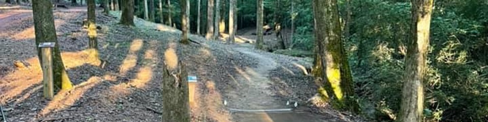 Eagle Disc Golf Course - Header Image