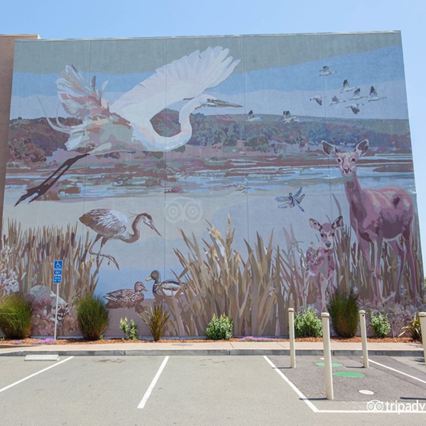 The city boasts a vibrant arts scene, with galleries showcasing local talent and captivating murals adorning many buildings. 